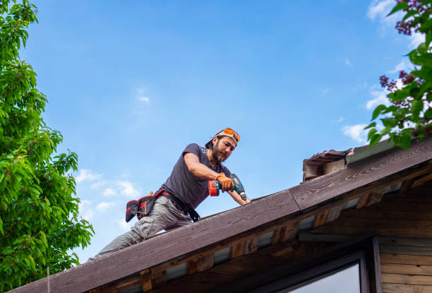 Best Asphalt Shingle Roofing  in Mathews, VA