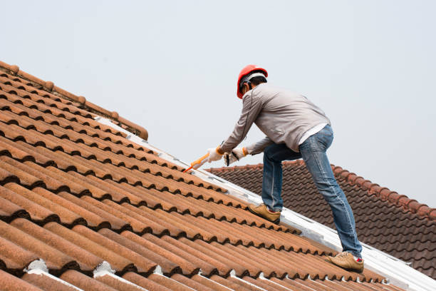 Best Roof Insulation Installation  in Mathews, VA