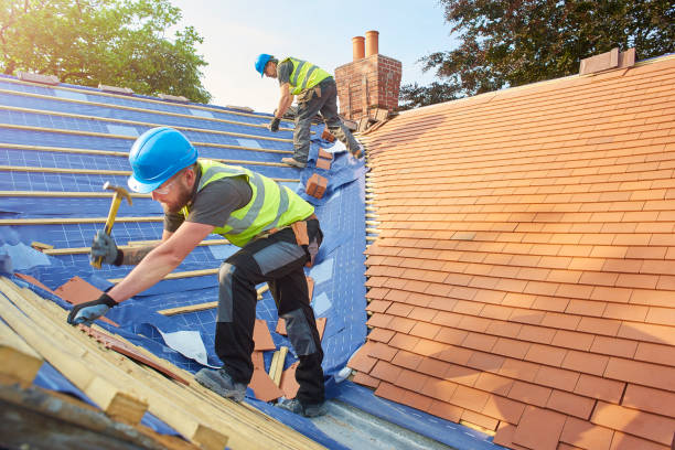 Best Sheet Metal Roofing  in Mathews, VA
